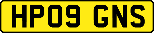 HP09GNS