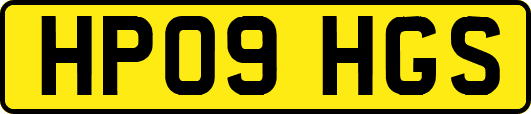 HP09HGS