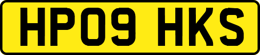 HP09HKS