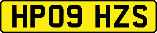 HP09HZS