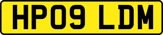 HP09LDM