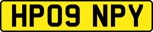 HP09NPY