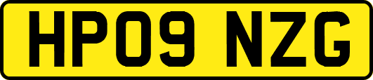 HP09NZG