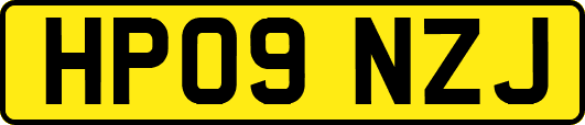 HP09NZJ