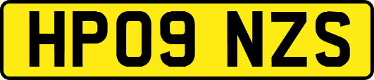 HP09NZS