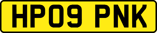 HP09PNK