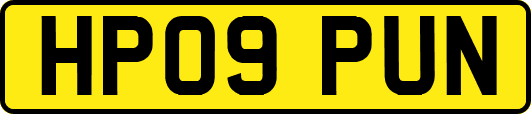 HP09PUN