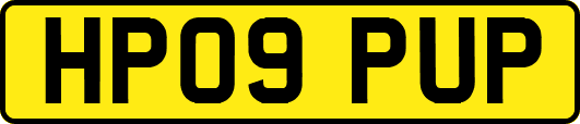 HP09PUP