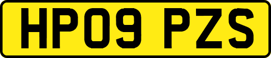 HP09PZS
