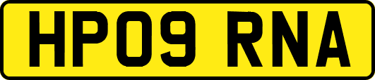HP09RNA