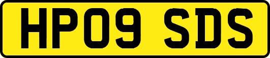 HP09SDS