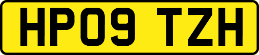 HP09TZH
