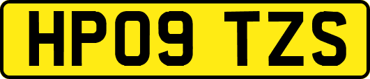 HP09TZS