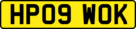 HP09WOK