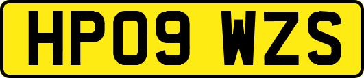 HP09WZS