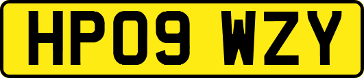 HP09WZY