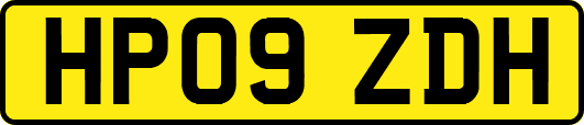 HP09ZDH
