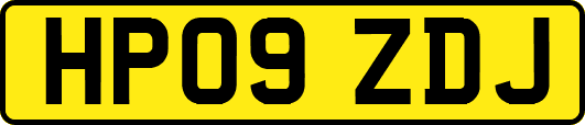 HP09ZDJ