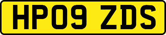 HP09ZDS