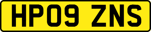 HP09ZNS
