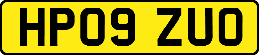 HP09ZUO