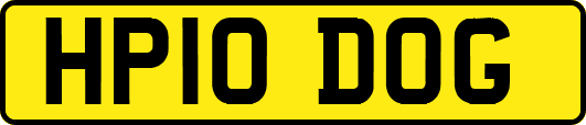HP10DOG