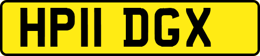 HP11DGX