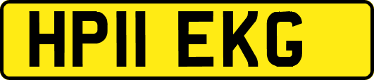 HP11EKG