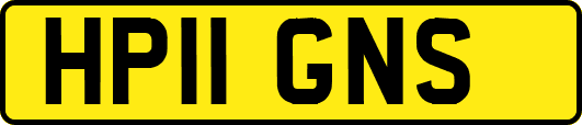 HP11GNS