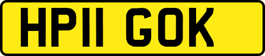 HP11GOK
