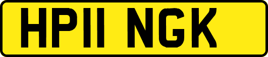 HP11NGK