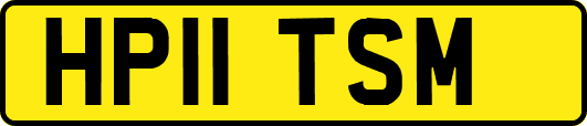 HP11TSM