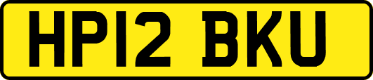 HP12BKU