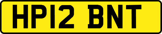 HP12BNT