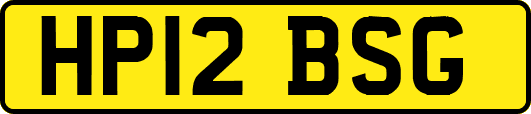 HP12BSG