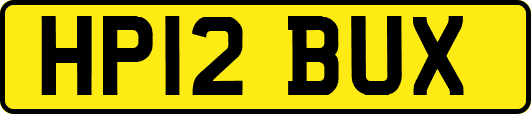 HP12BUX
