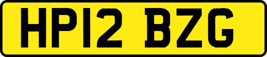 HP12BZG
