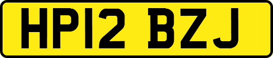HP12BZJ