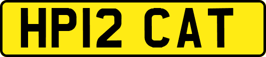 HP12CAT