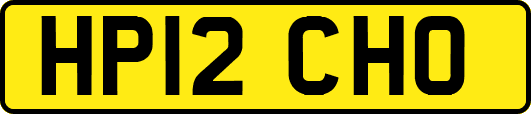 HP12CHO