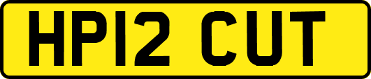 HP12CUT