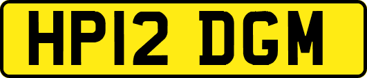 HP12DGM