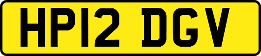 HP12DGV