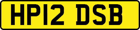 HP12DSB