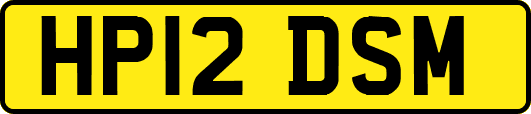 HP12DSM