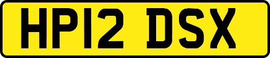 HP12DSX