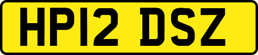 HP12DSZ