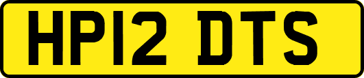 HP12DTS