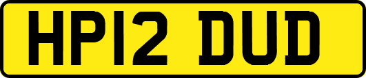 HP12DUD