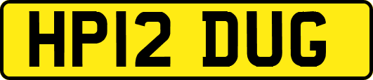 HP12DUG